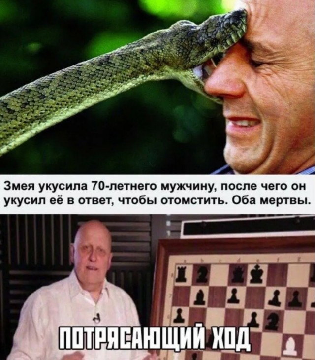Завалялось тут случайно немного забавных картинок