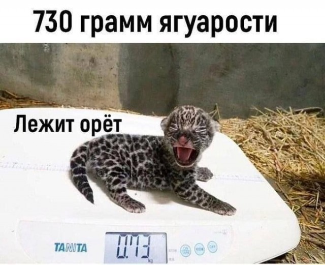 Так себе картинки 08.05.25