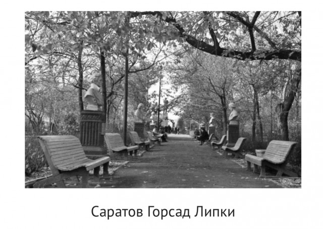 Парк собирает друзей