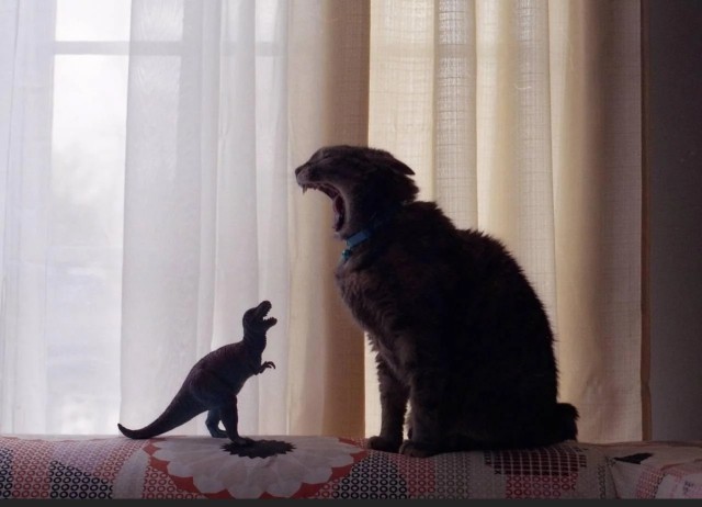 К вопросу о том, как вымерли динозавры