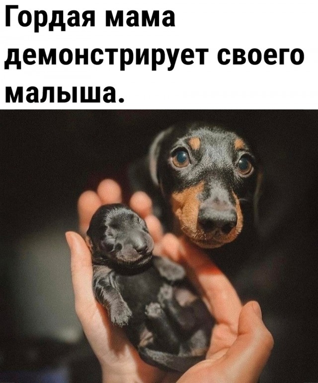 Так себе картинки 22.07.25