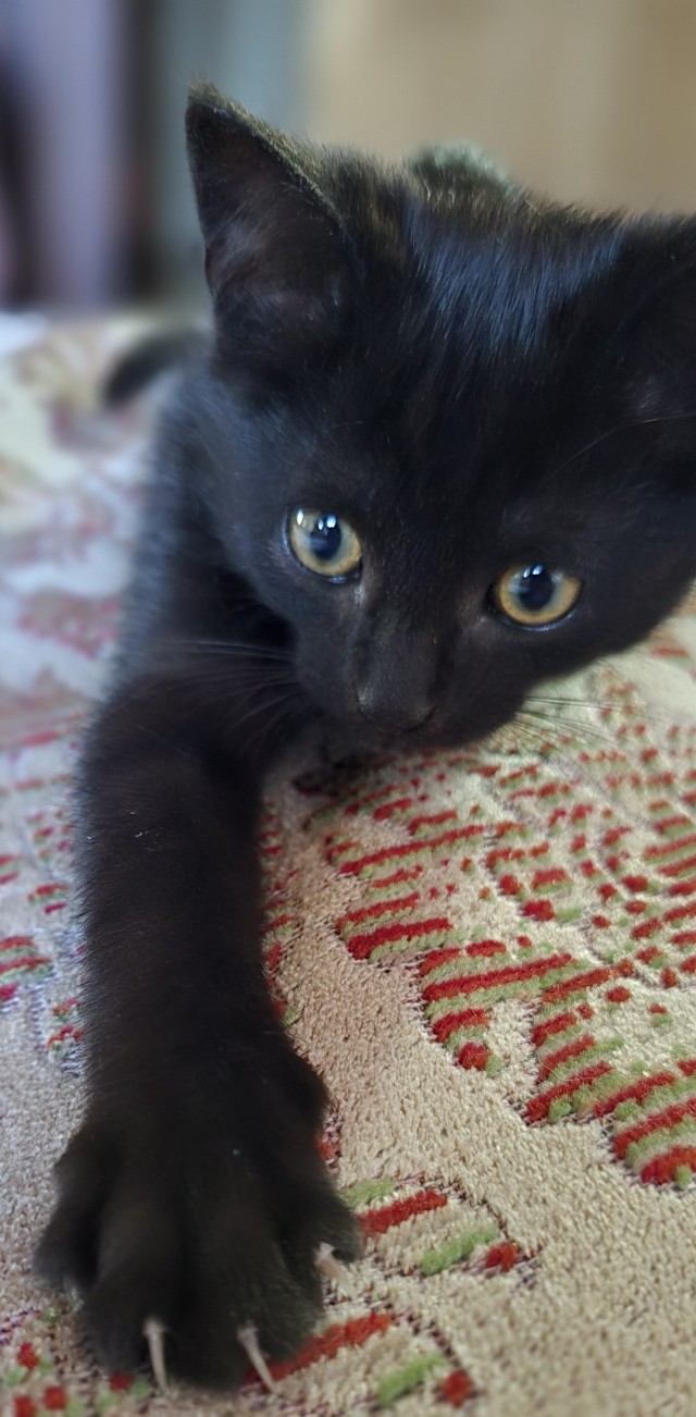 Минус один бродяга