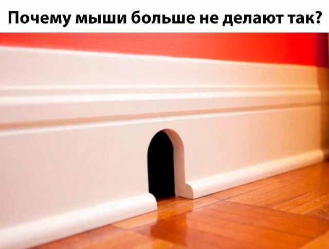 Картинки для деградации 21 (разной степени свежести)