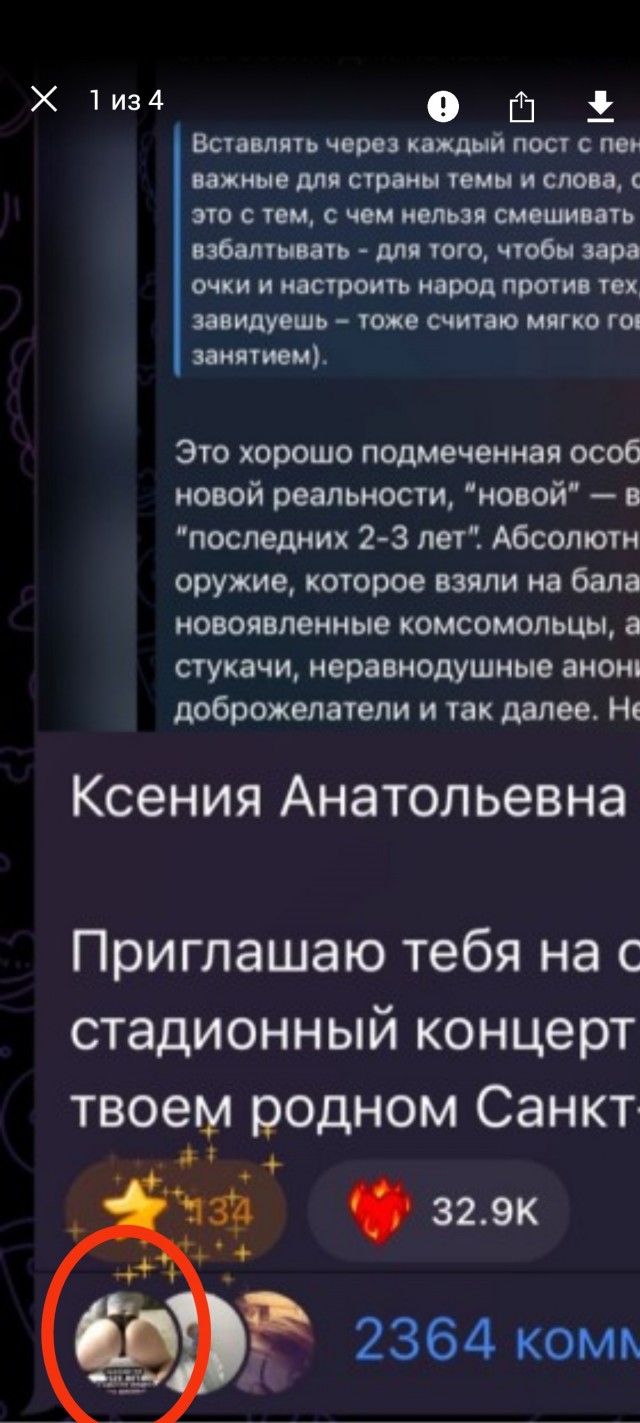 Даванков, Собчак и многие другие, против  Е.Мизулиной