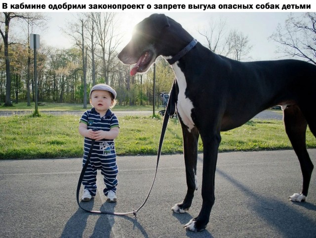 Бредейшая бредятина
