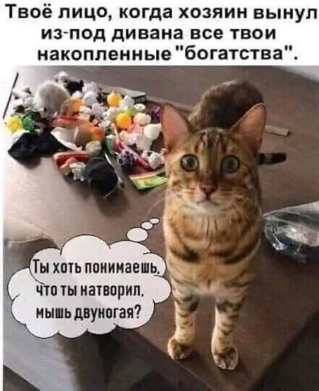 Картинки для деградации 61 (разной степени свежести)