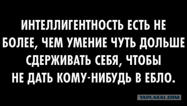 Куча мала 6