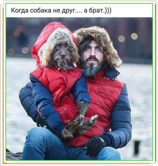 Среды картинки