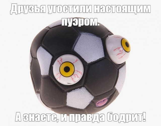 Картинки, веселые и глупые