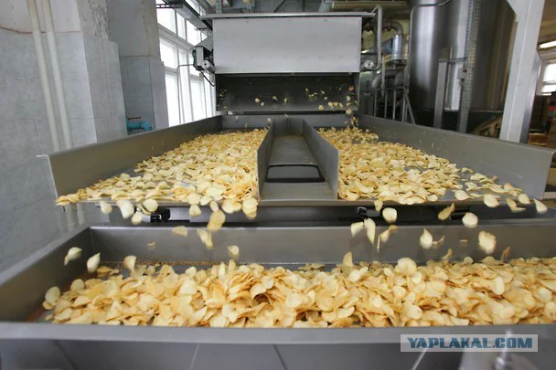Ученые приравняли ультрапереработанные продукты к сигаретам