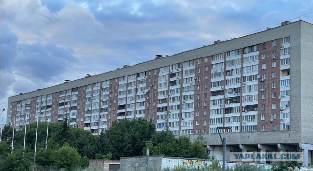 Дом сороконожка
