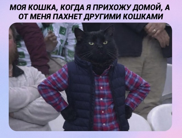 Картинки для деградации 181 (разной степени свежести)