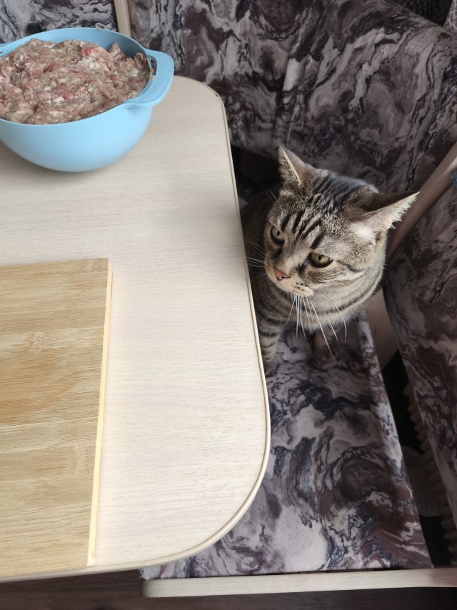 Котовторник же