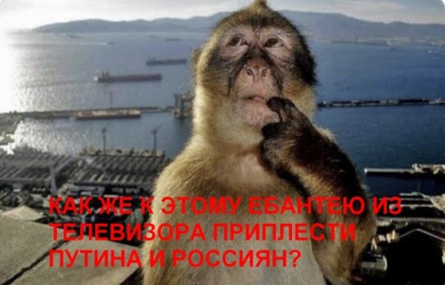 Можно ли человеку пересадить мозг?