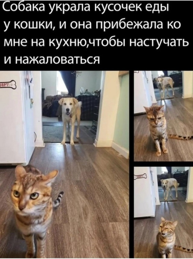 Так себе картинки 17.06.26