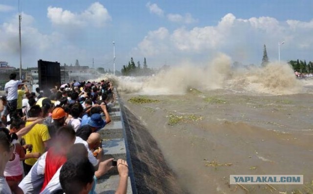 Проститутки на плавучих баржах в Утрехте