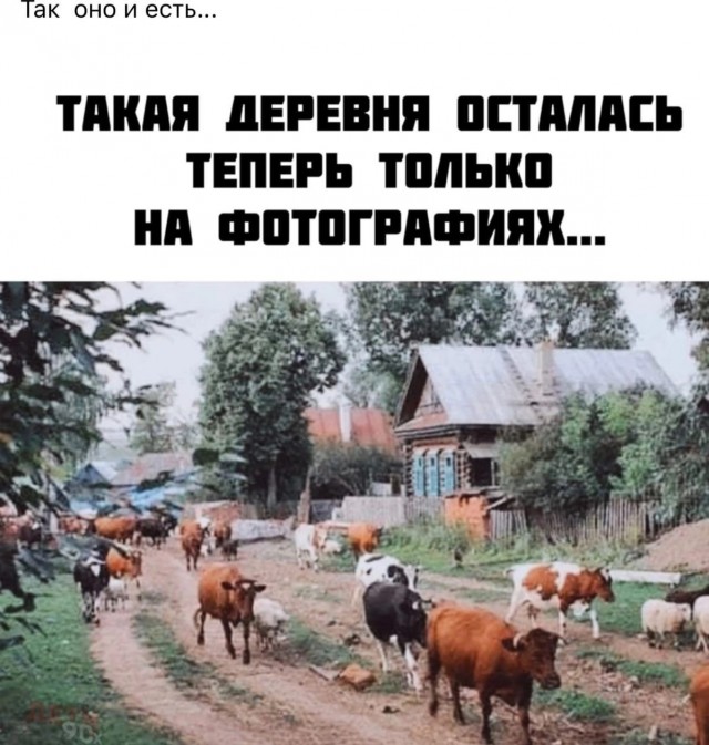 Прикольные и просто красивые картинки 01.09.2026