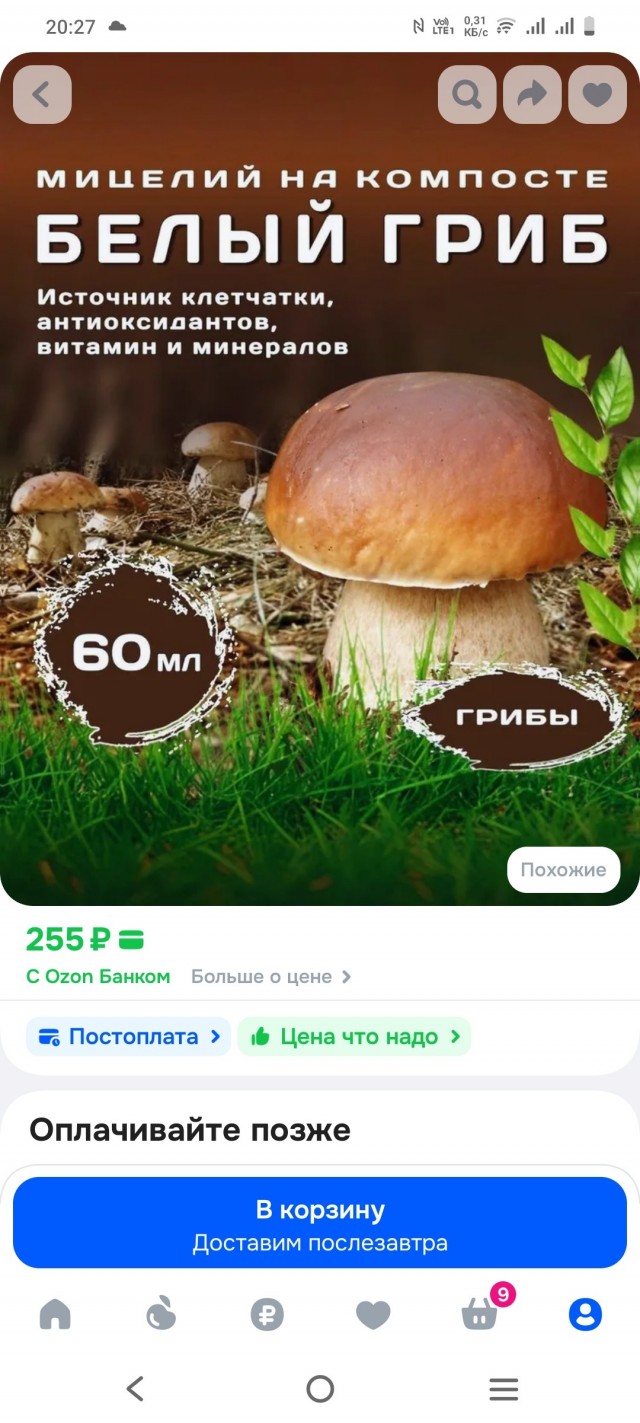 Холостякую и что заметил