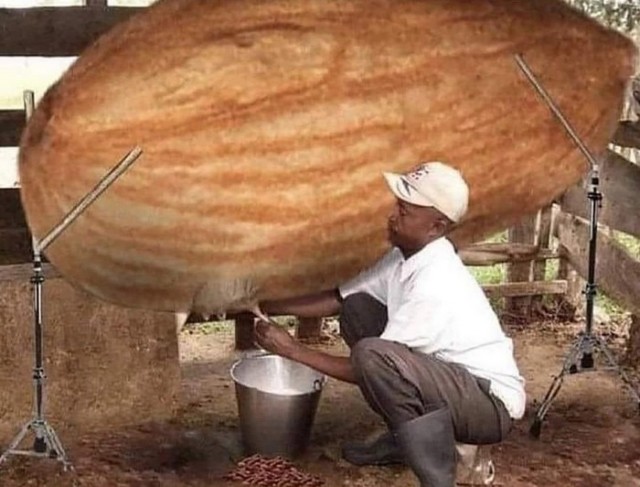 Березовый сок в СССР