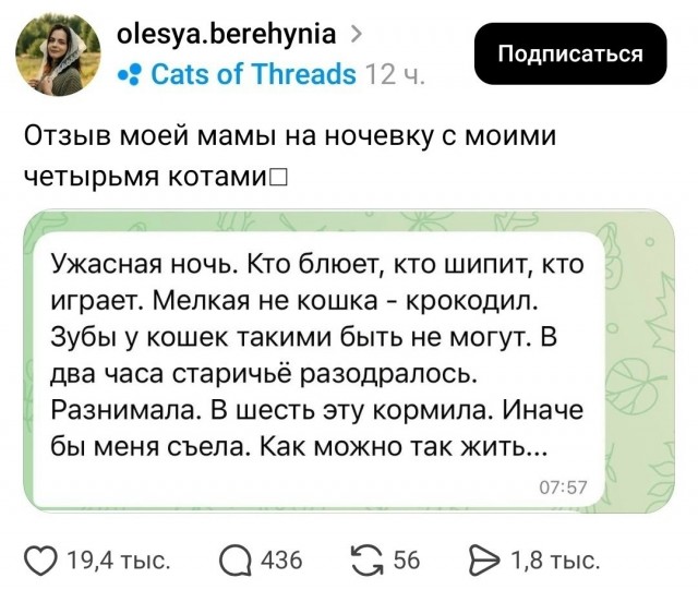 Так себе картинки 25.10.26