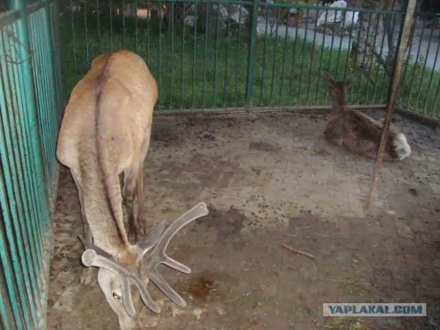 Удивительный Китай