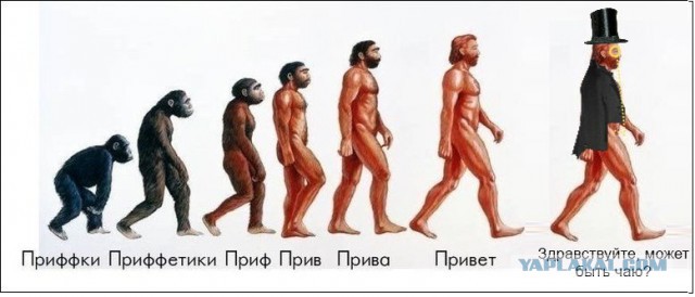 Смешные картинки