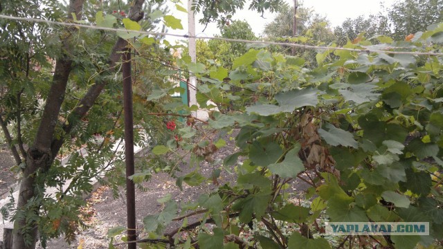 А что у Вас сейчас?