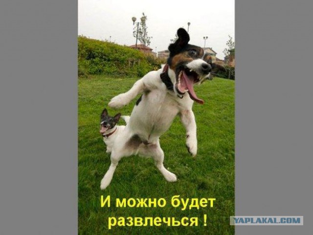 Всем зеленки!