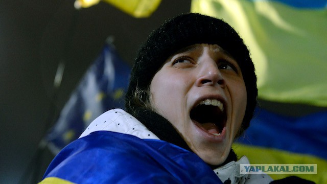 Угрозы и тумаки вместо знаний