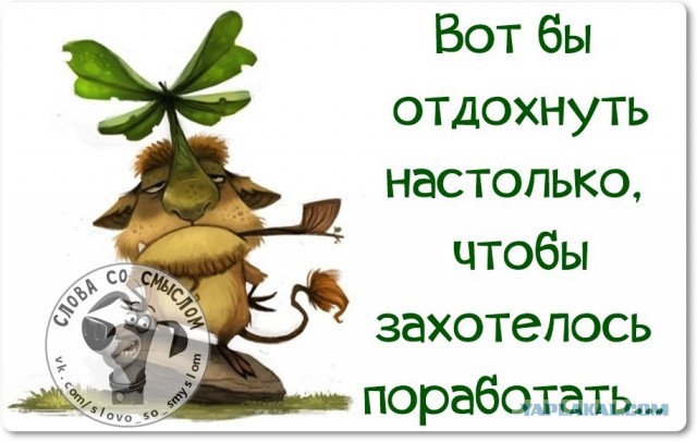 Веселые жизненные наблюдения из Вредного журнала