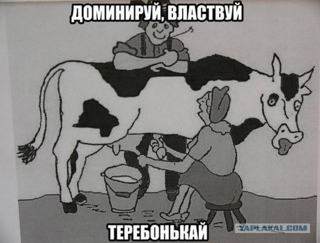 Перед тем, как смотреть клубнику на ЯПе