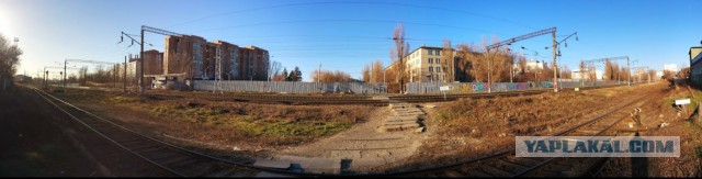 Люди – бараны, или чиновники – дураки?