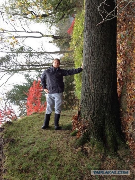 Лучшие любительские фото 2012