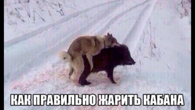 Делай всё внезапно!