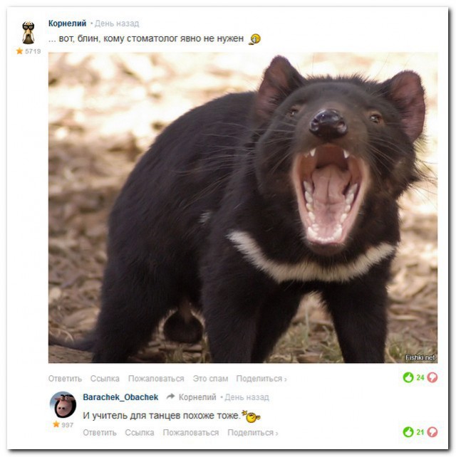 Ужасы и приколы из соцсетей 18+