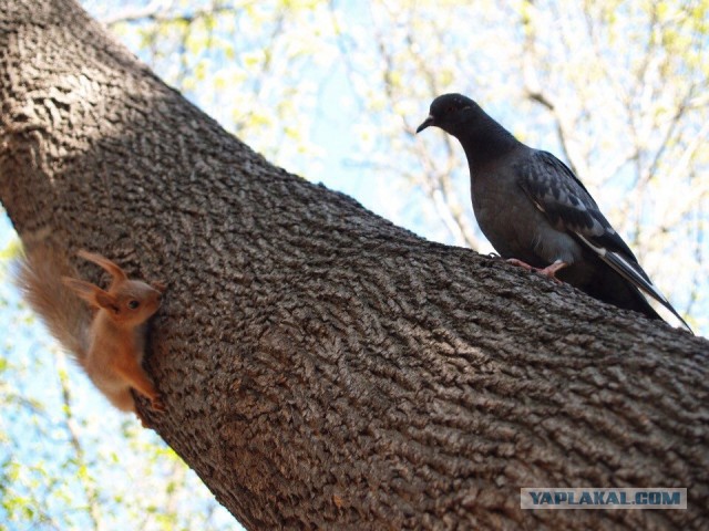 Подборка интересных и веселых картинок