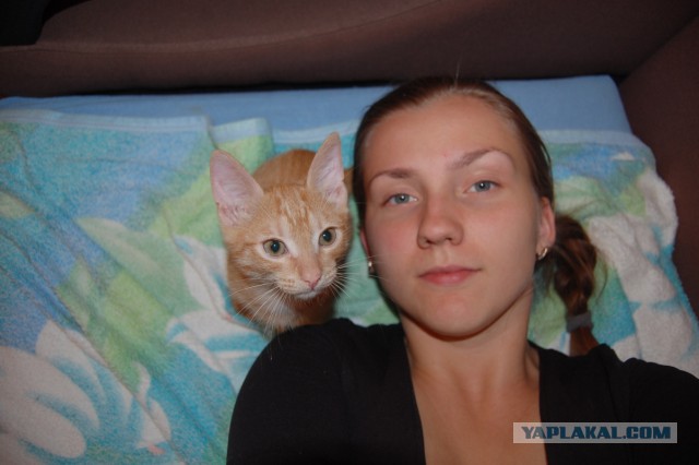 18 вещей, c которыми вы столкнетесь, когда заведете кошку