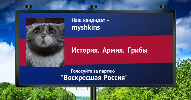 Стань кандидатом от ЯПа