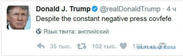 Путин поздоровался с голубем