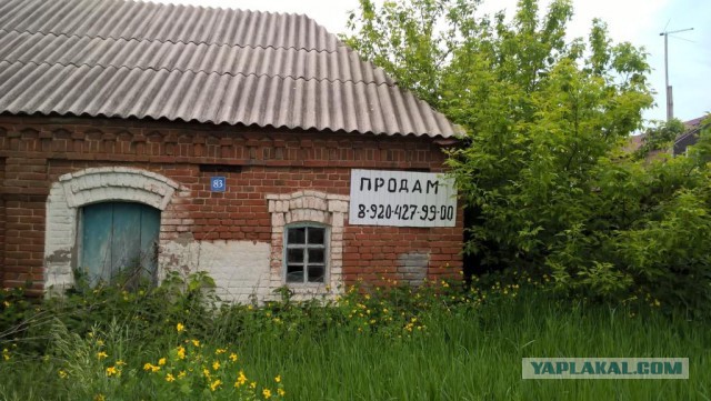 В России предложили ввести сбор для выезжающих на курорты за границу