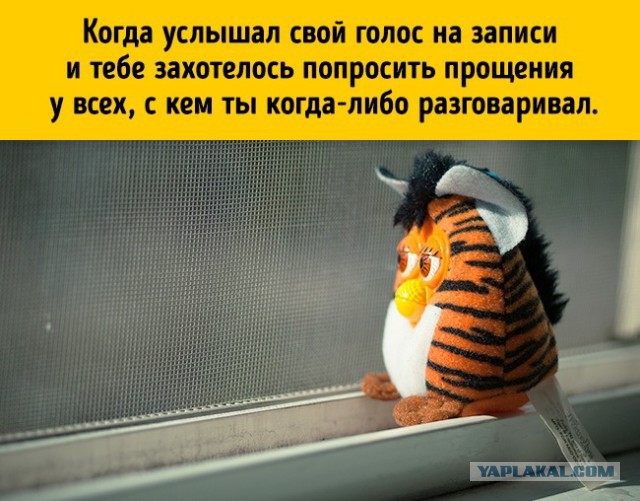 Вещи, которые делает каждый, но не признается в этом