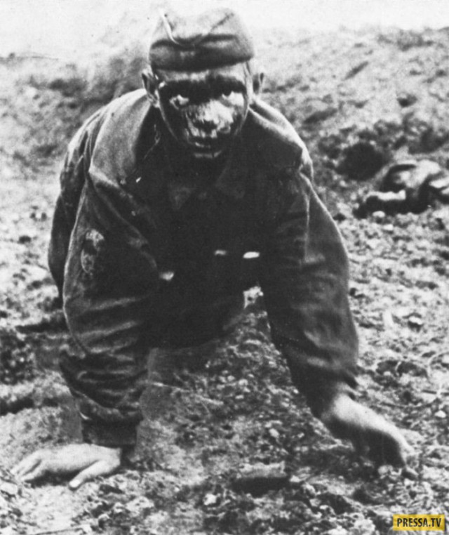 Война в фотографиях.