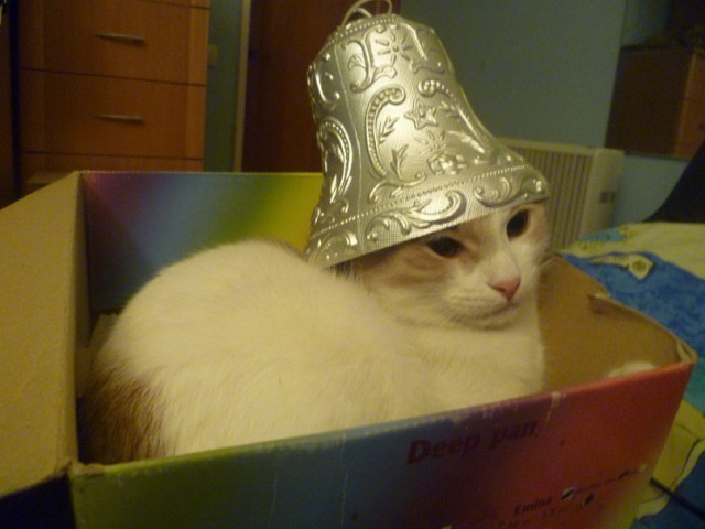 Живность из сети