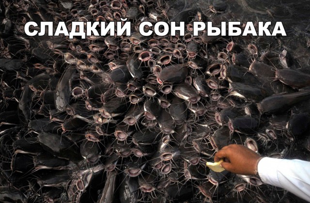 Прикольные картинки обо всем