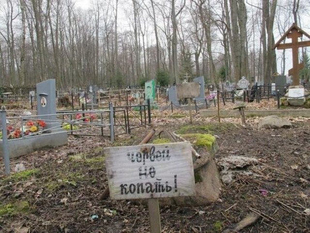Прикольные картинки абавсём