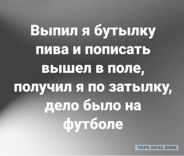 Немного картинок для настроения 09.12.19