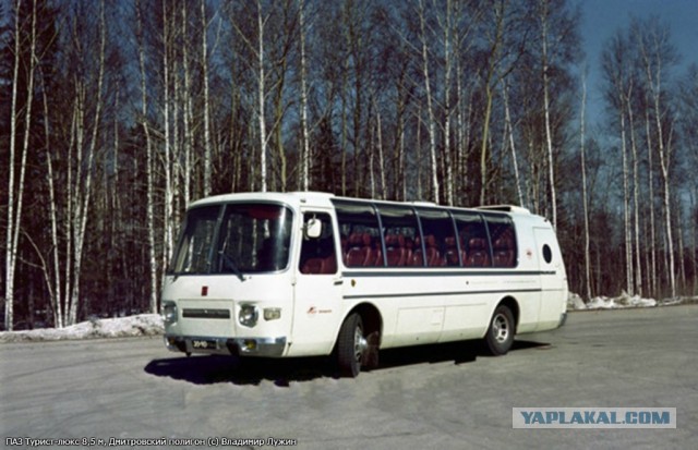 Необычные автобусы