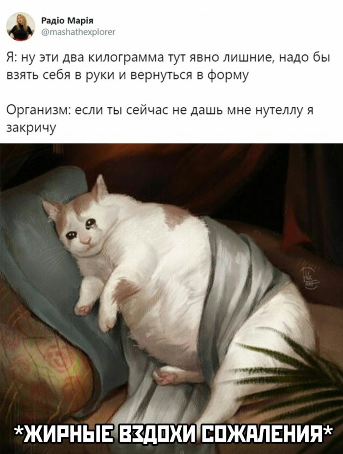 Весёлые картинки 01.02.20