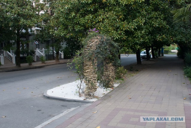 Утренний Сочи на карантине