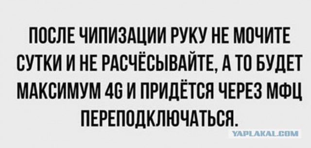 Бредзона 31.05.20
